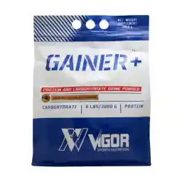 پودر کیسه ای گینر پلاس ویگور 3000 گرم