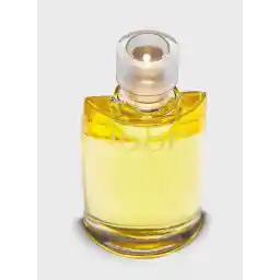 Joop! Femme Eau de Toilette 100 ml