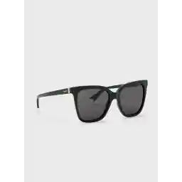 Wayfarers Sunglasses