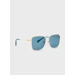 Pld4158/G/S/X Sunglasses