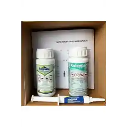 Atom Tahta Kurusu Seti - Jel Hediyeli