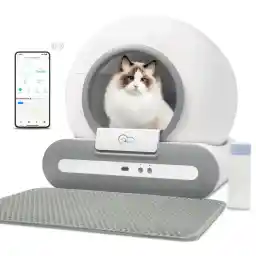 دويل اكياس قمامة كبيرة متينة ذاتية التنظيف، 15 قطعة × 4 بكرات دويل اكياس قمامة كبيرة متينة ذاتية التنظيف، 15 قطعة × 4 بكرات