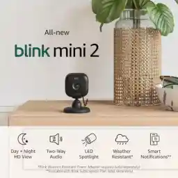 Blink Mini 2 — Home Security & Pet Camera(s) with HD video, color night view, motion detection, two-way audio, and built-in spotlight — 1 camera (Black)
