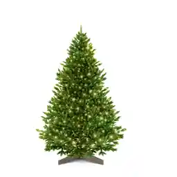 Artificial Christmas Tree 180 cm - 100% Injection Moulded North Spruce with LED | Premium Christmas Tree Lifelike Includes FSC Wooden Stand & Storage Bag