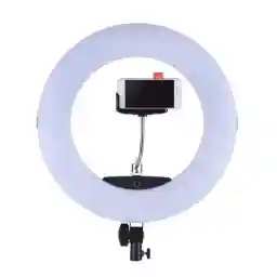 رينگ لايت حرفه ای هارموني Harmony FE1100 Ring Light