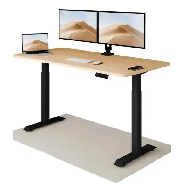 Desktronic Height-Adjustable Desk 160 x 80 cm, Sturdy Desk, Electric, Standing Desk with Touchscreen and Integrated Charging Plugs