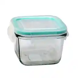 ظرف نگهدارنده لیمون مدل h 197635  200 کد 36