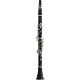 کلارینت استگ مدل WS-CL110