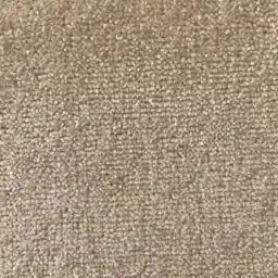 موکت پالاز مدل موکت پالاز مدل زیبا کد 5403.0