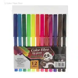 ماژیک رنگ آمیزی 12 رنگ