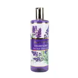 شامپو موهای خشک ژیوانا Jiwana حاوی لاوندر وزن 500 گرم