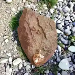 نیم ست زنانه نگین دار طرح قلب مدل SH5007