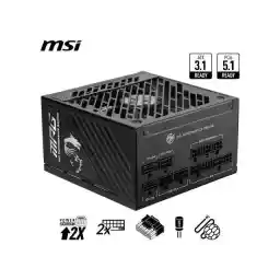 MSI MPG A850GS PCIE5, Fully Modular Gaming 850W Power Supply, 80+ Gold, Dual 12V-2x6 Cables, Server-grade Capacitor, ATX 3.1 & PCIe 5.1 Ready, Low-Noise, Semi Digital, 10 Year Warranty