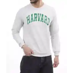 پلیور مردانه ال سی وایکیکی مدل W343154Z8