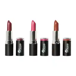 پک 3 عددی رژ لب جامد مات شماره 301، 305 و 309 | وینا