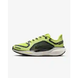 Nike Pegasus 41 GORE-TEX