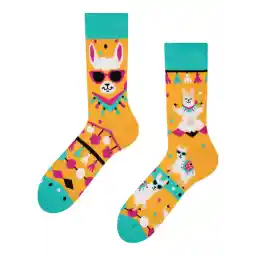 Dedoles Unisex Socks, for Women, Men and Children, Cotton, Many Fun Designs, Football, Bicycle, Horses, Plants, Fire Brigade, Gift, Different Left and Right Designs