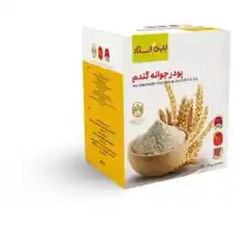 پودر جوانه گندم بین استار 25 عددی