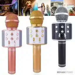 microphone speaker