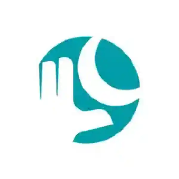 لیون کامپیوتر