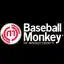 BaseballMonkey