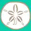 Sand Dollar